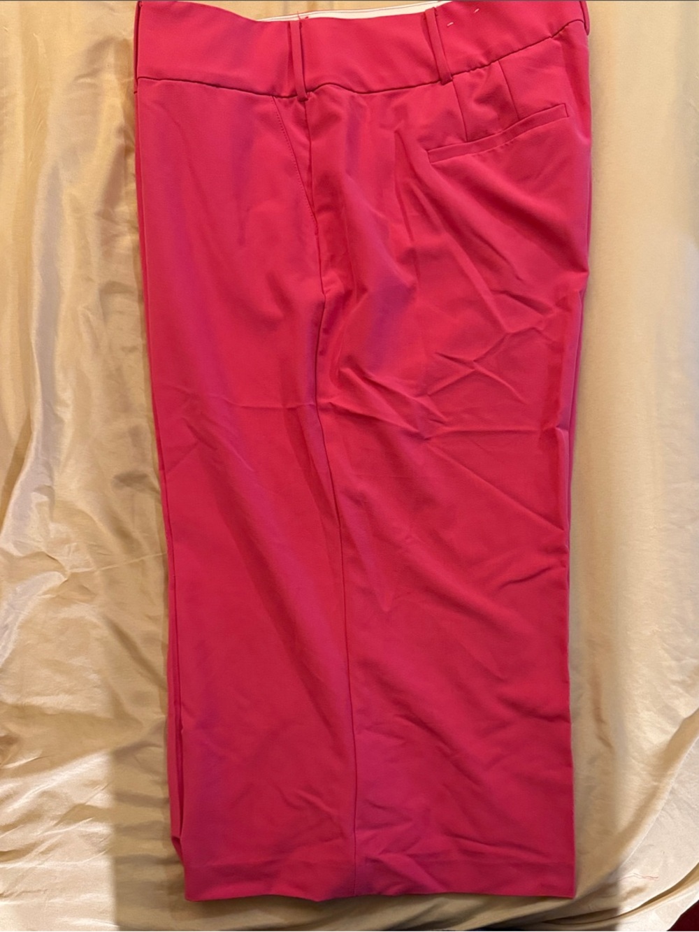 Lane Bryant Hot Pink Knit Pull-On Pants